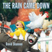 The rain came down  Cover Image