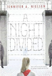 A night divided  Cover Image
