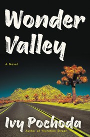 Wonder valley : a novel  Cover Image