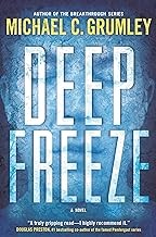 Deep freeze Book cover