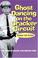 Go to record Ghost dancing on the cracker circuit : the culture of fest...