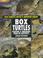 Go to record Box turtles