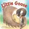 Go to record Little Goose