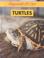 Go to record Turtles