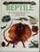 Go to record Reptile