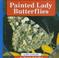 Go to record Painted lady butterflies