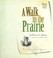Go to record A walk in the prairie