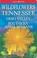 Go to record Wildflowers of Tennessee, the Ohio Valley, and the Souther...