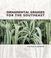 Go to record Ornamental grasses for the southeast