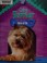 Go to record Cairn terrier : hero of Oz