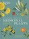 Go to record The gardener's companion to medicinal plants : an A-Z of h...