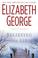 Go to record Believing the lie : an Inspector Lynley novel