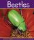 Go to record Beetles