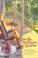 Go to record Sweet tea, fried chicken, and lazy dogs : reflections on N...
