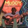 Go to record Muddy : the story of blues legend Muddy Waters