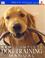 Go to record New complete dog training manual