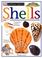 Go to record Shells