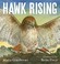 Go to record Hawk rising