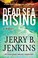 Go to record Dead Sea rising