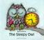 Go to record The sleepy owl