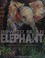 Go to record How to be an elephant