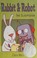 Go to record Rabbit and Robot : the sleepover