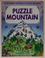 Go to record Puzzle mountain