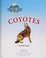 Go to record Coyotes