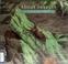 Go to record About insects : a guide for children