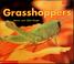 Go to record Grasshoppers