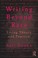 Go to record Writing beyond race : living theory and practice