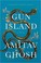 Go to record Gun island