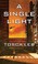 Go to record A single light a novel