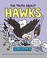 Go to record The truth about hawks