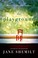 Go to record The playground : a novel