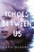 Go to record Echoes between us