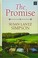 Go to record The promise /