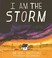 Go to record I am the storm