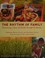 Go to record The rhythm of family : discovering a sense of wonder throu...
