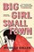 Go to record Big girl, small town : a novel