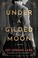 Go to record Under a gilded moon : a novel