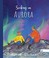 Go to record Seeking an aurora