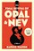Go to record The final revival of Opal & Nev : a novel
