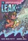 Go to record The leak