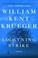 Go to record Lightning strike : a novel