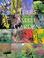Go to record Trees for the small garden : how to choose, plant, and car...