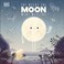 Go to record The night the moon went missing