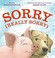 Go to record Sorry (really sorry)