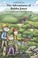 Go to record Time-traveling through Shenandoah National Park