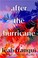Go to record After the hurricane : a novel